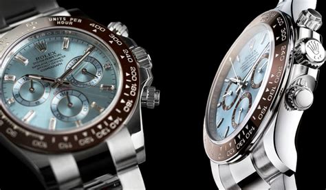 rolex wg vs platinum